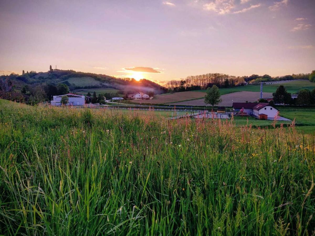 Holiday Home Rojko Strigova 外观 照片